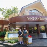 many animals restored to health and returned to the wild: vantara Foundation