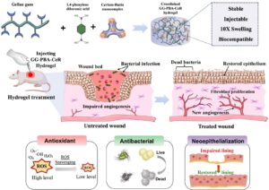 Researchers from IIT Gandhinagar, Nirma University Develop Novel Hydrogel to Accelerate Wound Healing