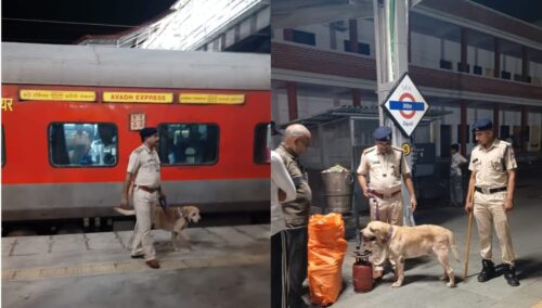 डॉग स्क्वॉड के श्वान ‘जीको’ की सतर्कता से डेरोल रेलवे स्टेशन पर यात्री से एलपीजी सिलेंडर बरामद