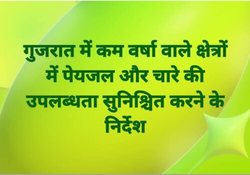 गुजरात में कम वर्षा वाले क्षेत्रों में पेयजल और चारे की उपलब्धता सुनिश्चित करने के निर्देश