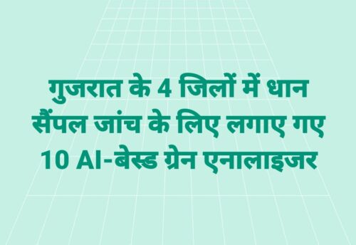 गुजरात के 4 जिलों में धान सैंपल जांच के लिए लगाए गए 10 AI-बेस्ड ग्रेन एनालाइजर