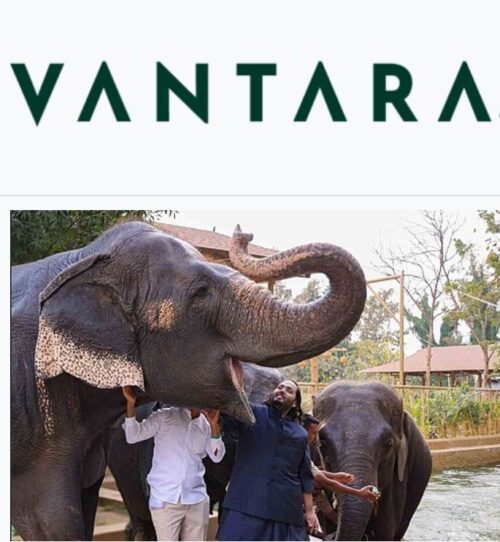 Anant Ambani Launches National Initiative to Transform Community Animal Welfare in India